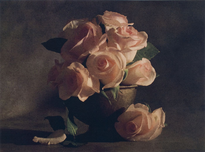 Romantic Roses, by Cy DeCosse.