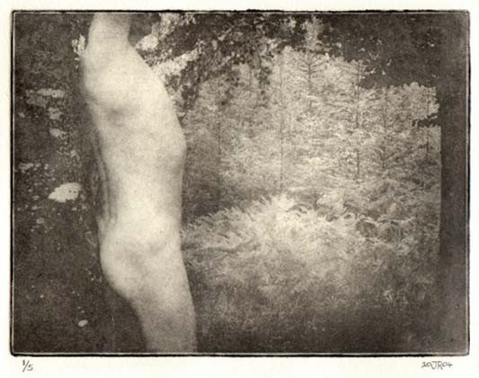 Photopolymer Gravure  Print by Jim Read