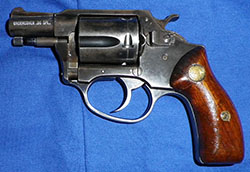 Early Charter Arms Undercover