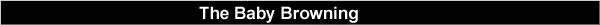 BabyBrowningBanner