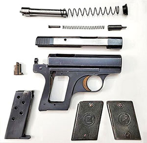 CZ-22 Pistol Field Stripped