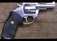 Stainless Steel Charter Arms Bulldog
