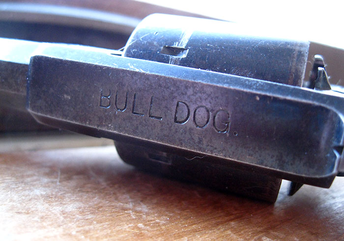 FW-Bulldog-T