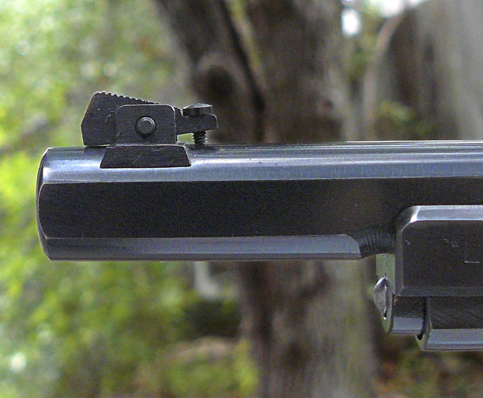 Le Chasseur front sight detail