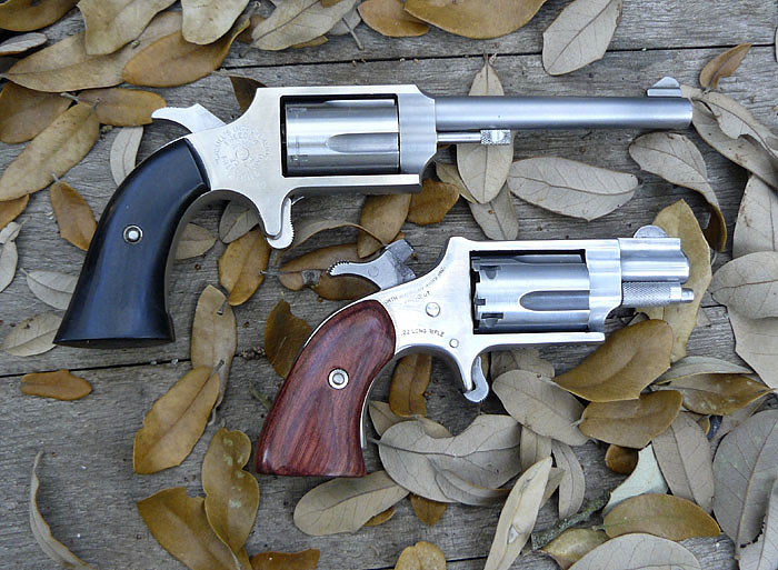 Freedom Arms & NAA Mini Revolvers