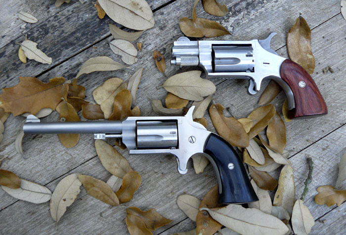 Freedom Arms & NAA Mini Revolvers