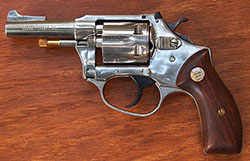 Charter Arms .22 Pathfinder