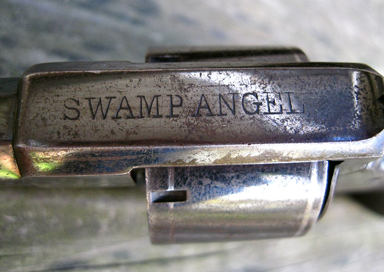 Swamp-Angel-T