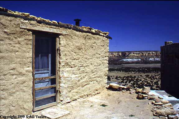 House With View