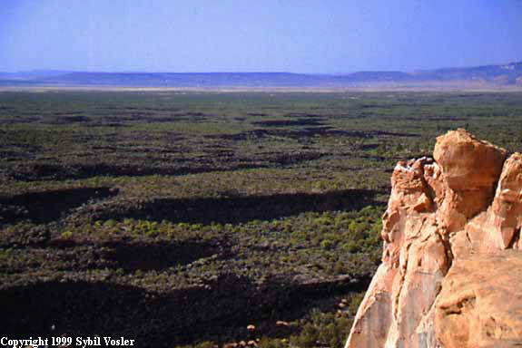 El Malpais