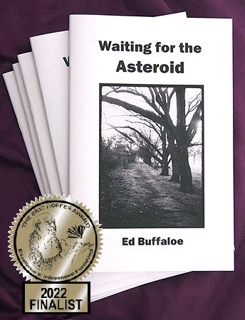 Waiting For the Asteroid