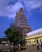 Shree Meenakshi Temple