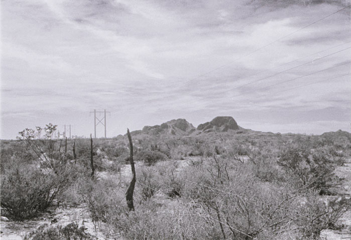 Northern Chihuahua Landscape