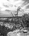 View from the top of Mesa Verde